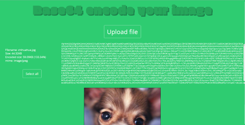 Screen of base64 encode project